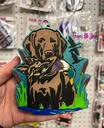 Duck Hunting Dog